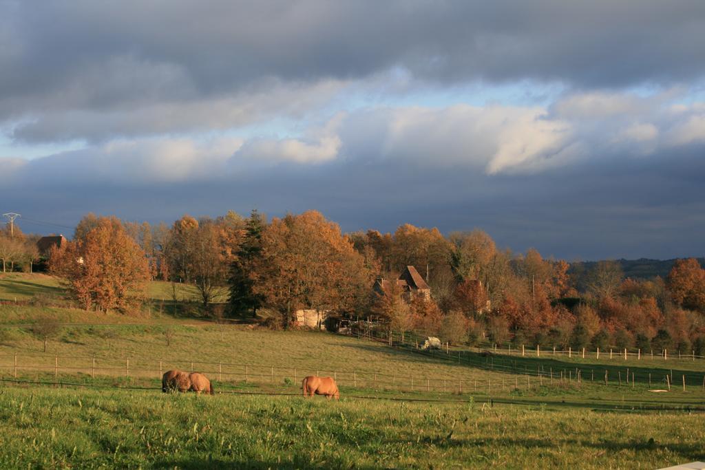 La Rolandie Haute Bed & Breakfast Limeuil Exterior photo